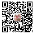 厨房电器招商